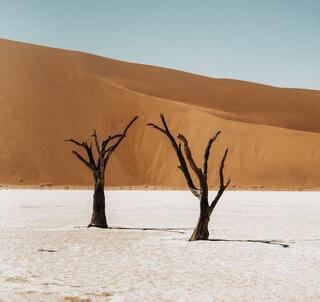 Påskeferie i Namibia 2025