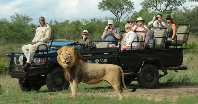 Sabi Sabi Little Bush Camp