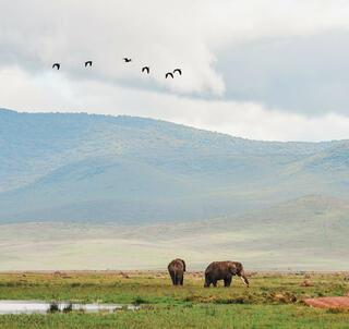 Eksklusiv Safari Tanzania & Zanzibar