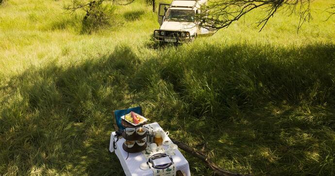 Pamoja Tarangire Luxury Hideaway